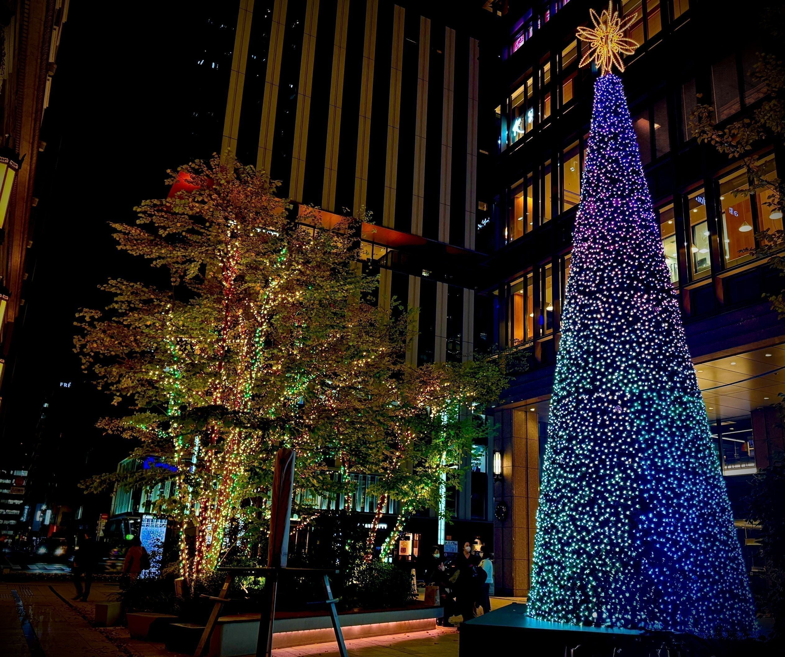 2025-2026 Illumination Information in Chuo-ku