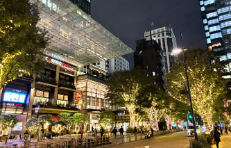 Nihonbashi Illumination 2025