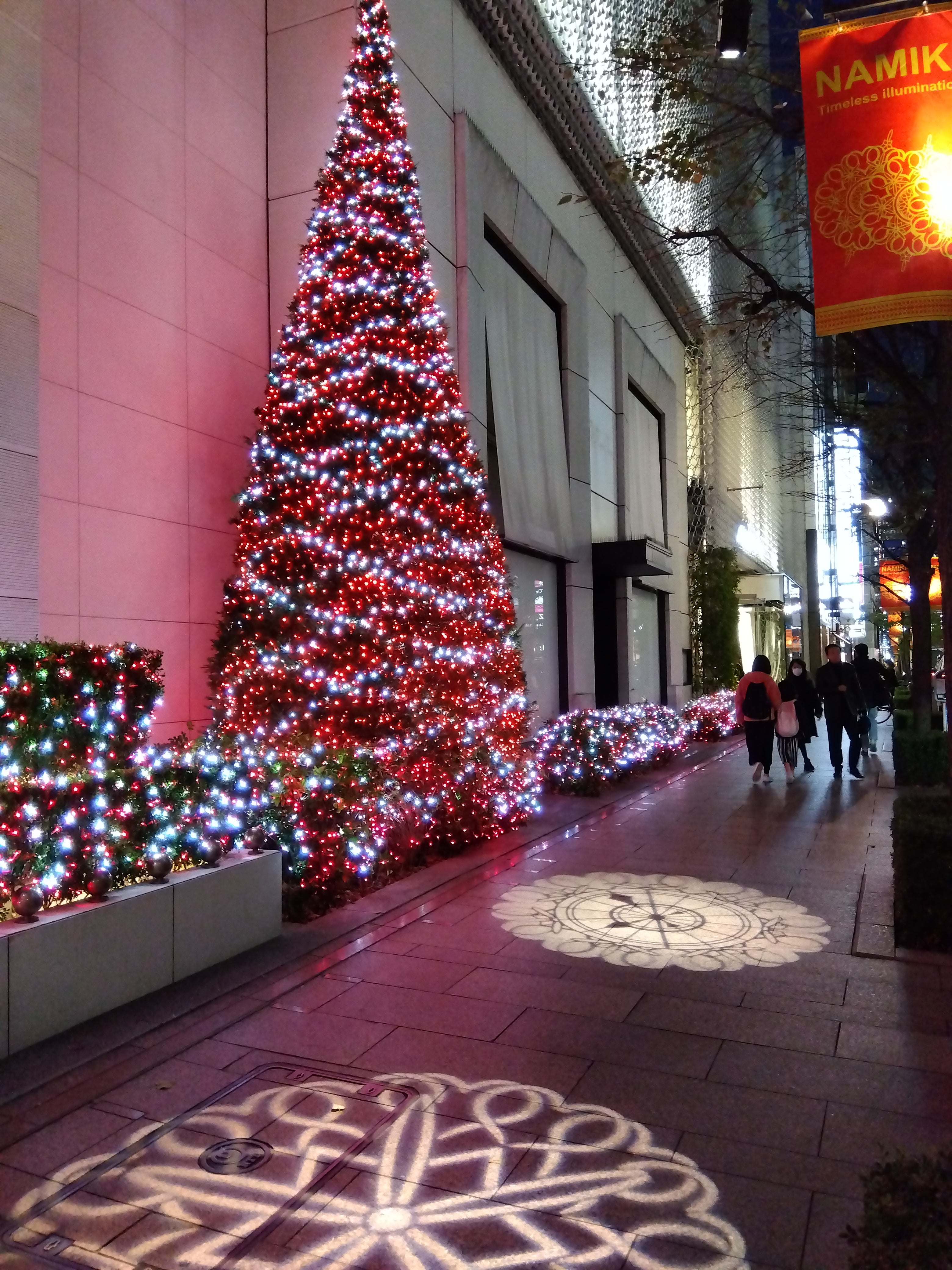 Christmas tree and illumination