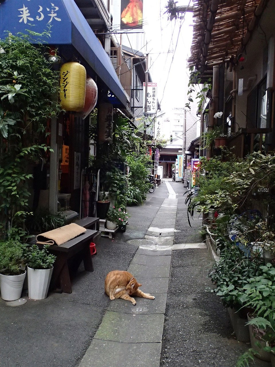 Back alley Heaven