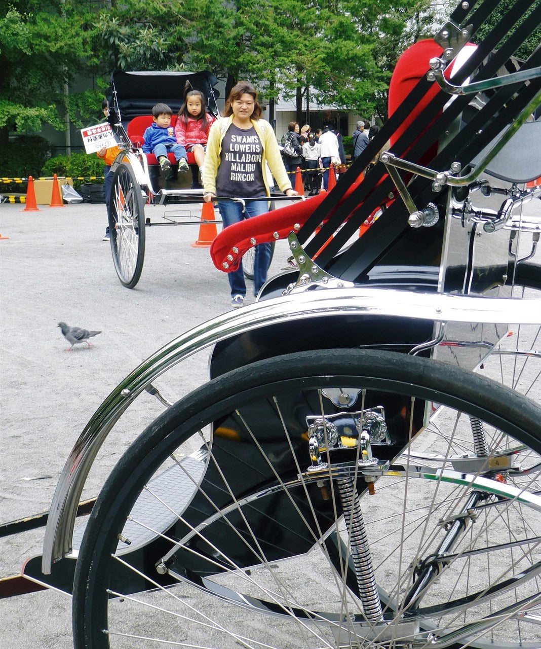Fun rickshaw experience