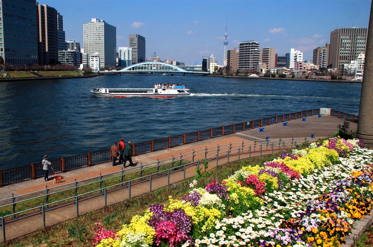Moriharu