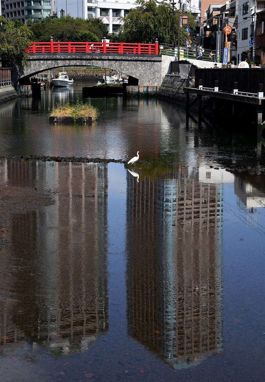 Red bridge and white heron