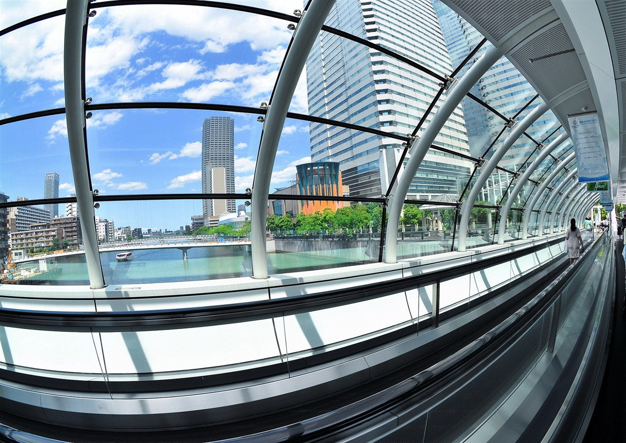 Triton bridge