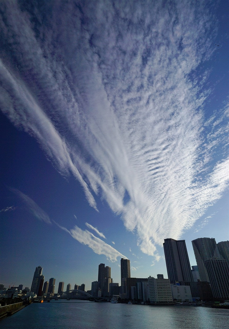 Autumn at the mouth of the Sumida River
