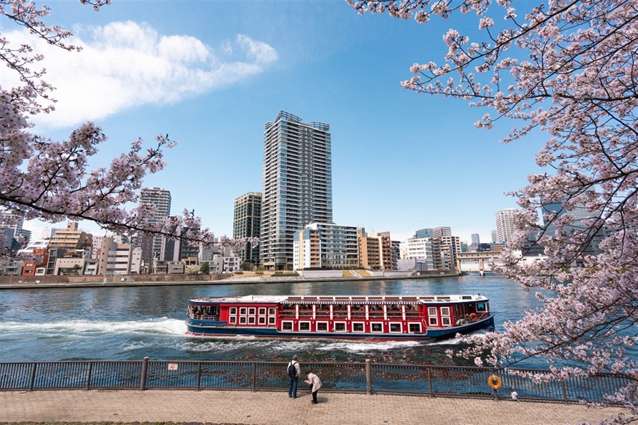 Sumida River in Spring Urara