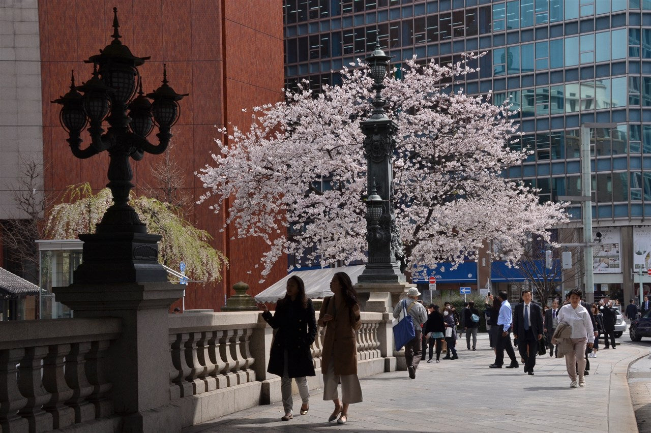 Spring Nihonbashi